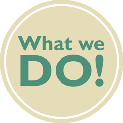 What-We-Do_2ef7dd1286c586e18d0ffb3ddcfae681
